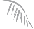 SharkTM